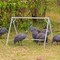 Chicken Perches with Swing, Chicken Roosting Bars for Coop Accessories, Activity Play Toys for Pet's Health & Happy